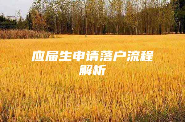 应届生申请落户流程解析
