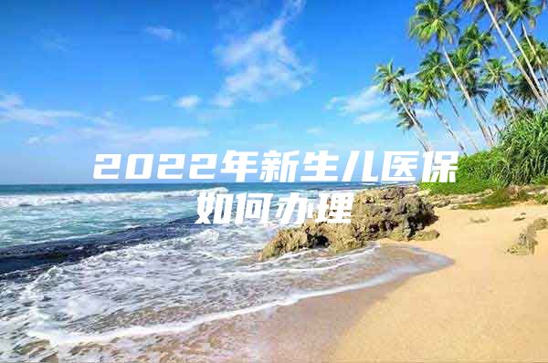 2022年新生儿医保如何办理