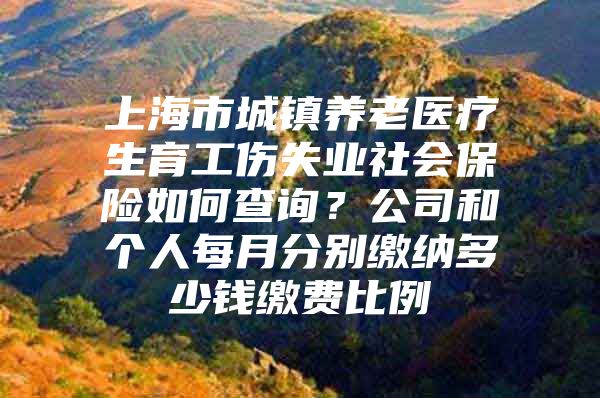 上海市城镇养老医疗生育工伤失业社会保险如何查询？公司和个人每月分别缴纳多少钱缴费比例