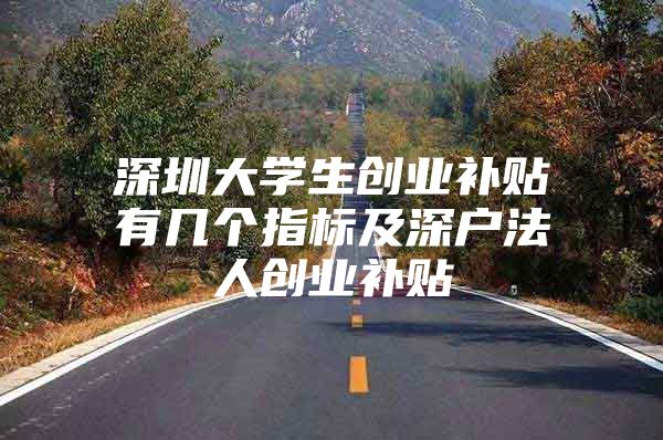 深圳大学生创业补贴有几个指标及深户法人创业补贴