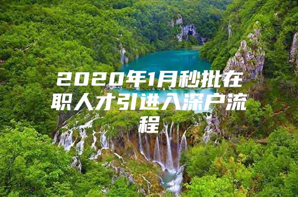 2020年1月秒批在职人才引进入深户流程