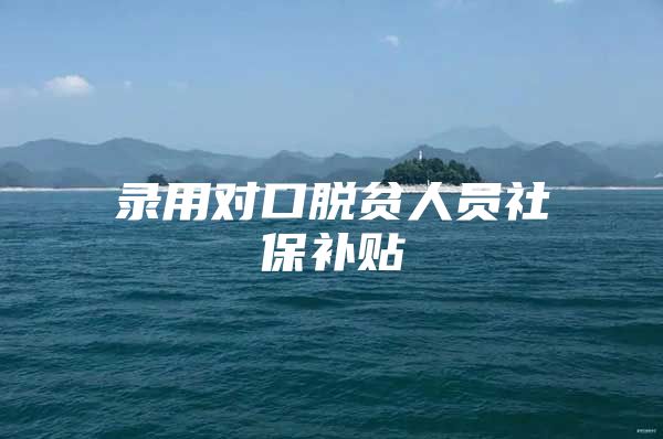 录用对口脱贫人员社保补贴
