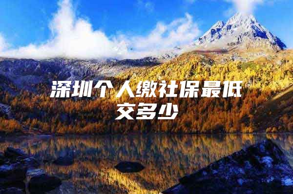 深圳个人缴社保最低交多少