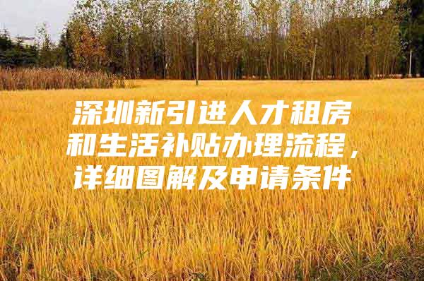 深圳新引进人才租房和生活补贴办理流程，详细图解及申请条件