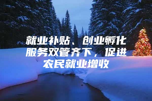 就业补贴、创业孵化服务双管齐下，促进农民就业增收