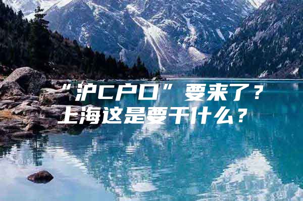 “沪C户口”要来了？上海这是要干什么？