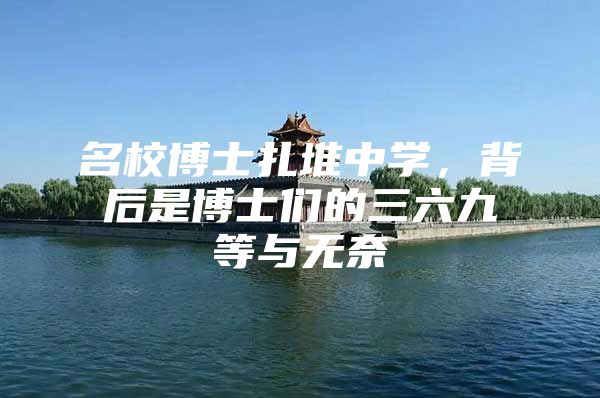名校博士扎堆中学，背后是博士们的三六九等与无奈
