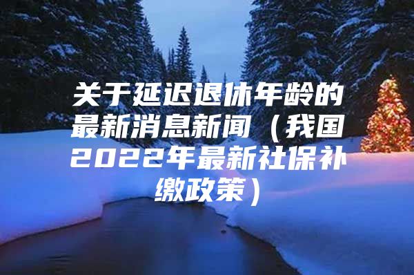 关于延迟退休年龄的最新消息新闻（我国2022年最新社保补缴政策）