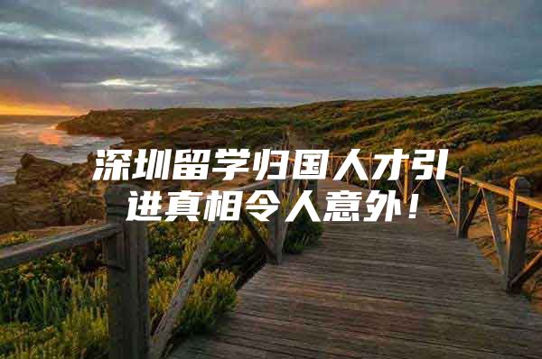 深圳留学归国人才引进真相令人意外！