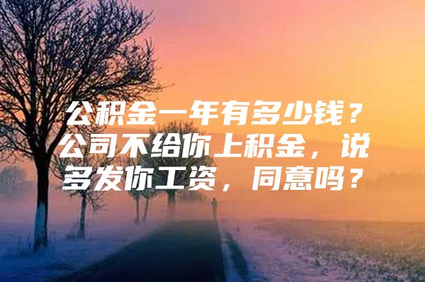 公积金一年有多少钱？公司不给你上积金，说多发你工资，同意吗？
