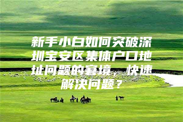 新手小白如何突破深圳宝安区集体户口地址问题的窘境，快速解决问题？