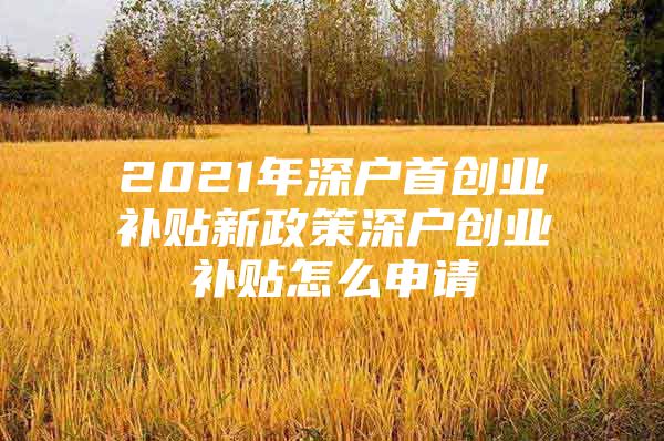 2021年深户首创业补贴新政策深户创业补贴怎么申请