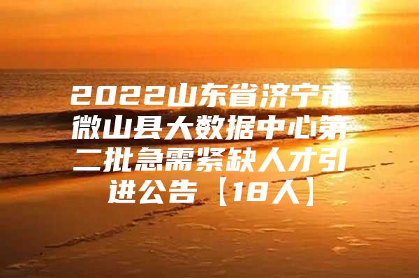 2022山东省济宁市微山县大数据中心第二批急需紧缺人才引进公告【18人】