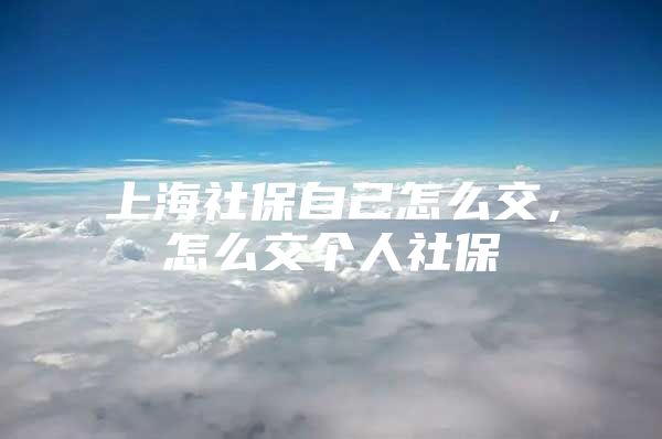 上海社保自己怎么交，怎么交个人社保