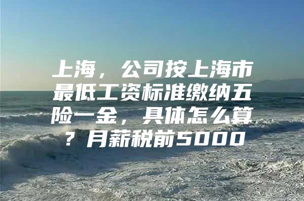 上海，公司按上海市最低工资标准缴纳五险一金，具体怎么算？月薪税前5000