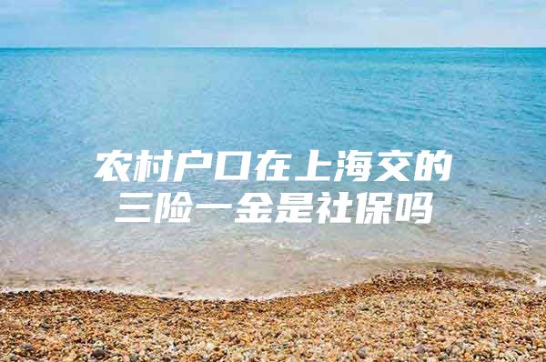 农村户口在上海交的三险一金是社保吗