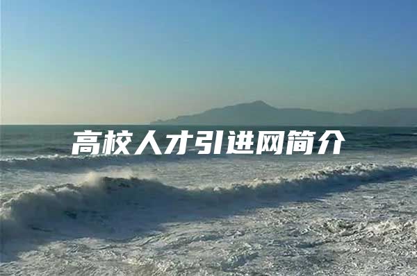 高校人才引进网简介