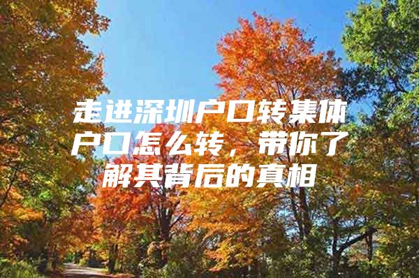 走进深圳户口转集体户口怎么转，带你了解其背后的真相