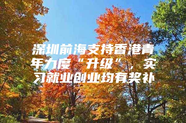 深圳前海支持香港青年力度“升级”，实习就业创业均有奖补
