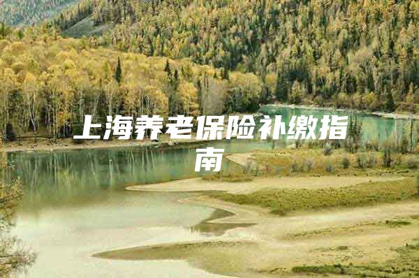 上海养老保险补缴指南