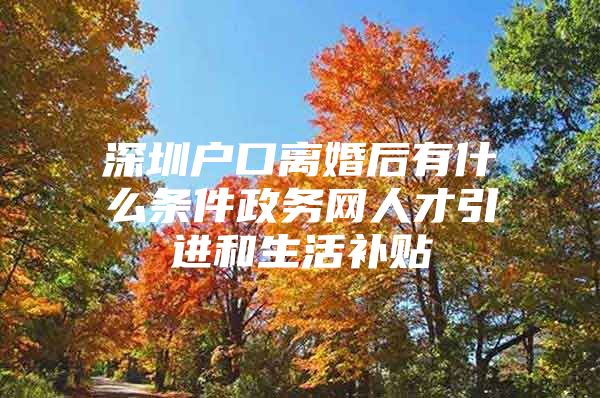 深圳户口离婚后有什么条件政务网人才引进和生活补贴