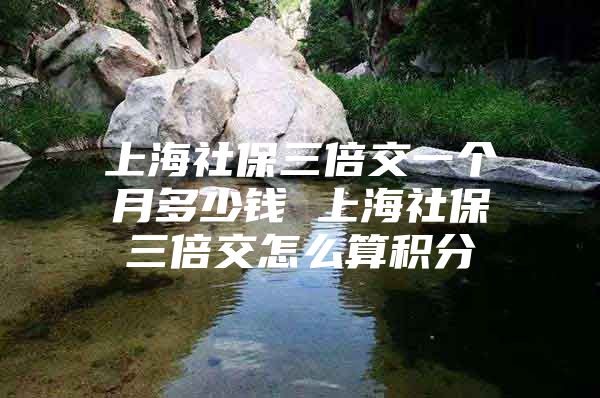 上海社保三倍交一个月多少钱 上海社保三倍交怎么算积分
