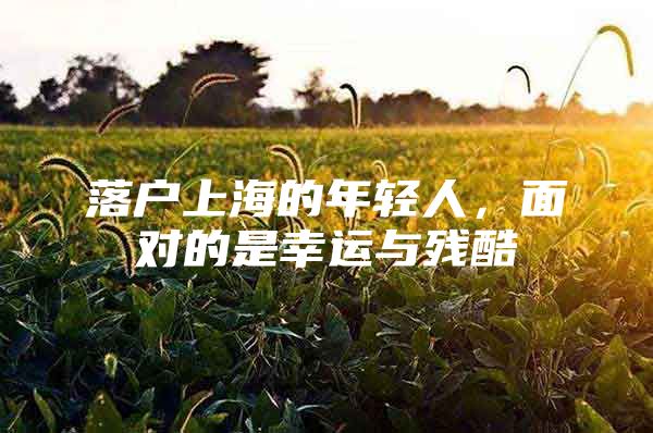 落户上海的年轻人，面对的是幸运与残酷