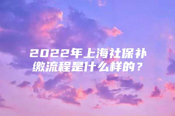 2022年上海社保补缴流程是什么样的？