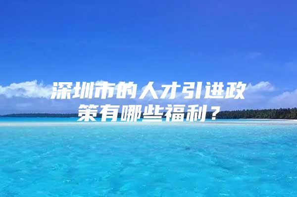 深圳市的人才引进政策有哪些福利？