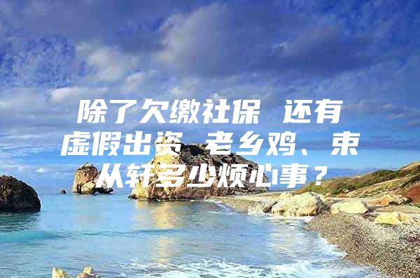除了欠缴社保 还有虚假出资 老乡鸡、束从轩多少烦心事？