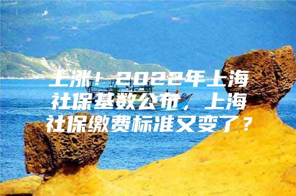 上涨！2022年上海社保基数公布，上海社保缴费标准又变了？