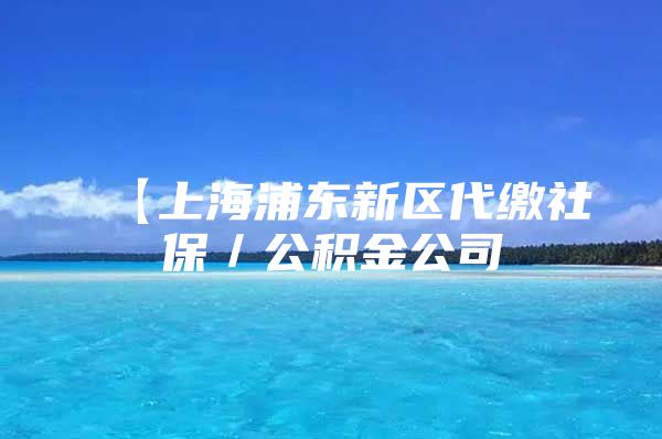 【上海浦东新区代缴社保／公积金公司
