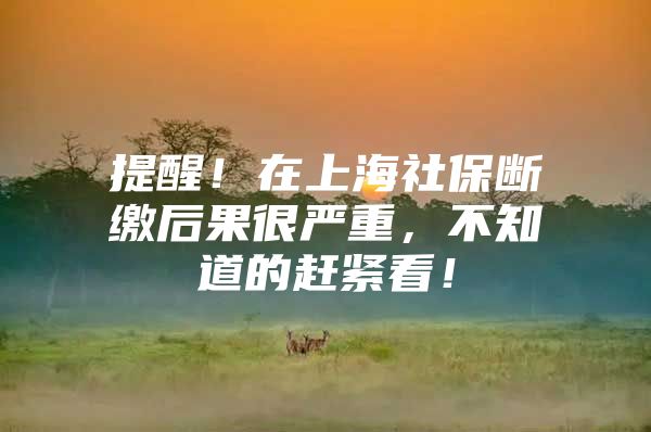 提醒！在上海社保断缴后果很严重，不知道的赶紧看！