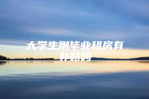大学生刚毕业租房有补贴吗