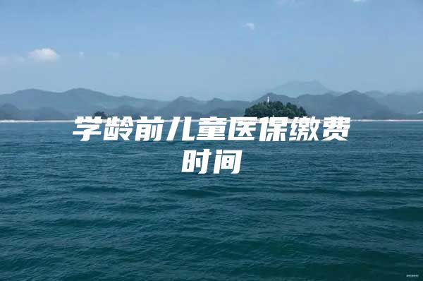 学龄前儿童医保缴费时间