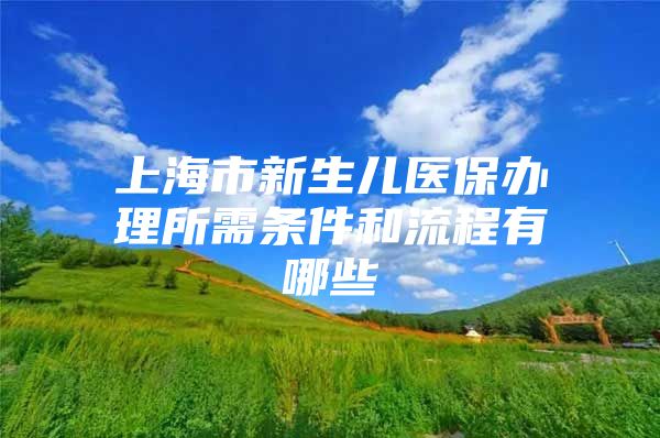 上海市新生儿医保办理所需条件和流程有哪些