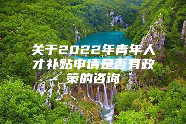 关于2022年青年人才补贴申请是否有政策的咨询