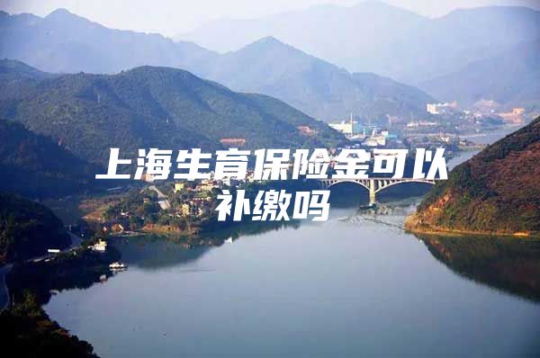 上海生育保险金可以补缴吗