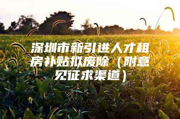 深圳市新引进人才租房补贴拟废除（附意见征求渠道）