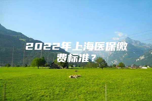 2022年上海医保缴费标准？