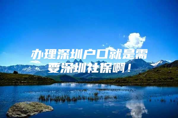 办理深圳户口就是需要深圳社保啊！