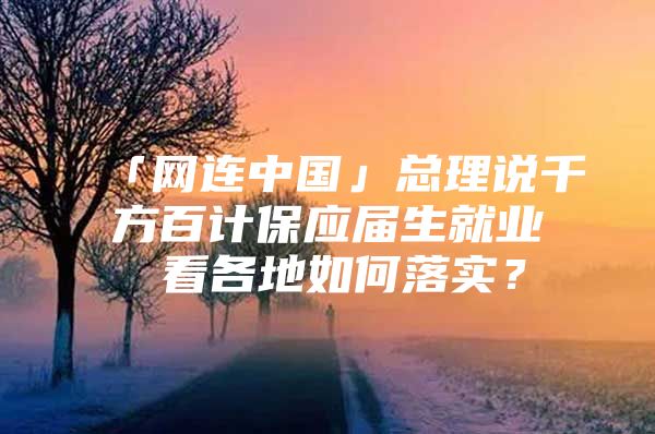 「网连中国」总理说千方百计保应届生就业 看各地如何落实？