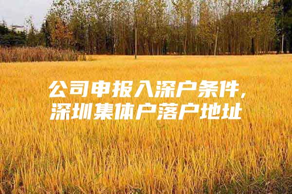 公司申报入深户条件,深圳集体户落户地址
