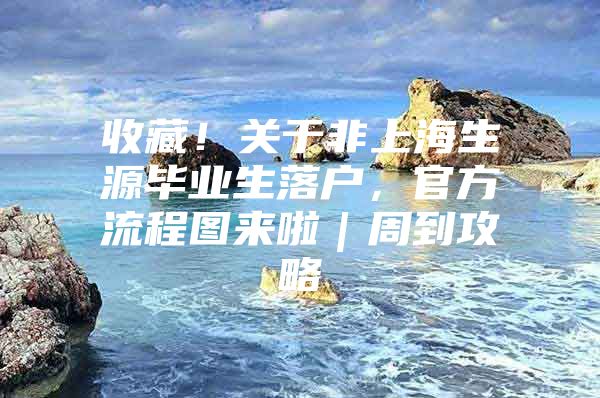 收藏！关于非上海生源毕业生落户，官方流程图来啦｜周到攻略