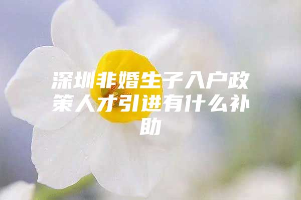 深圳非婚生子入户政策人才引进有什么补助