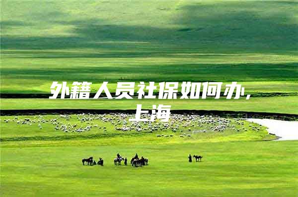 外籍人员社保如何办,上海
