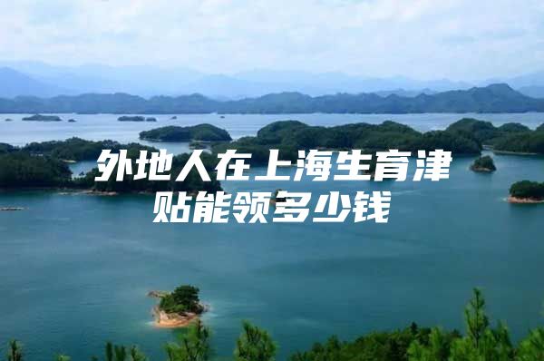 外地人在上海生育津贴能领多少钱