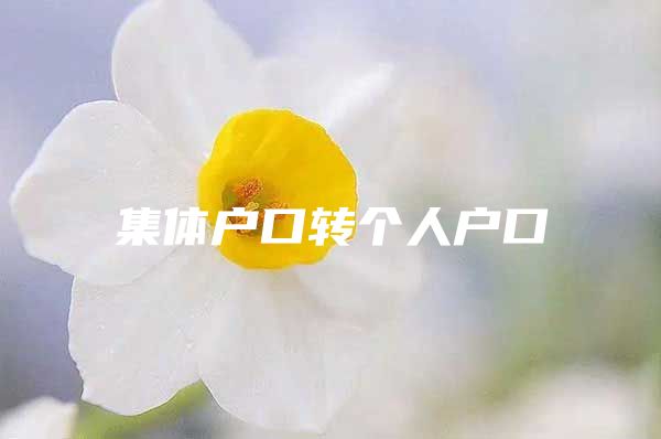 集体户口转个人户口