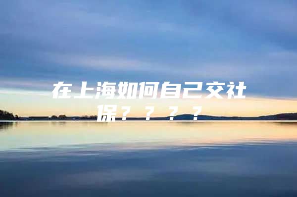 在上海如何自己交社保？？？？
