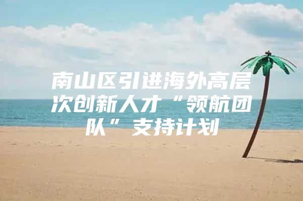 南山区引进海外高层次创新人才“领航团队”支持计划